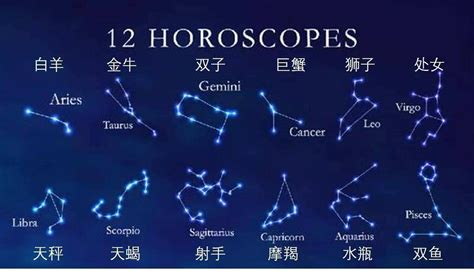 22/11 星座